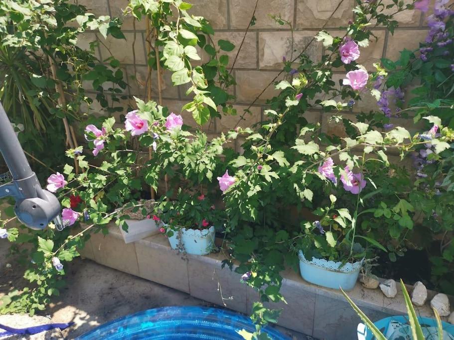 Makarska Blue Oasis Apartman 2-6 외부 사진
