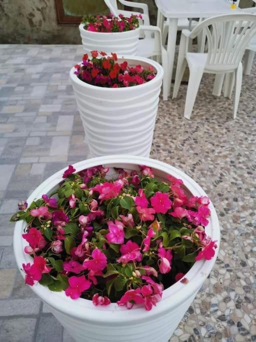 Makarska Blue Oasis Apartman 2-6 외부 사진