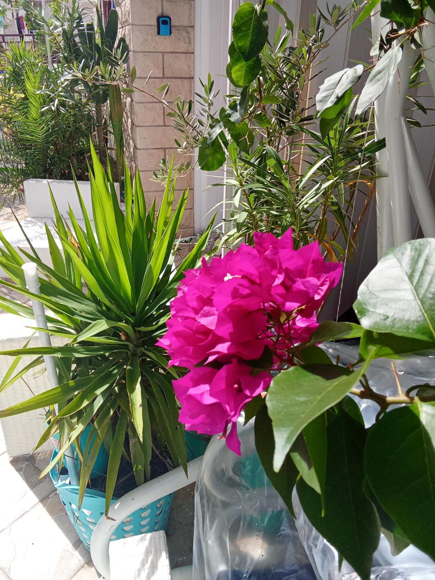 Makarska Blue Oasis Apartman 2-6 외부 사진