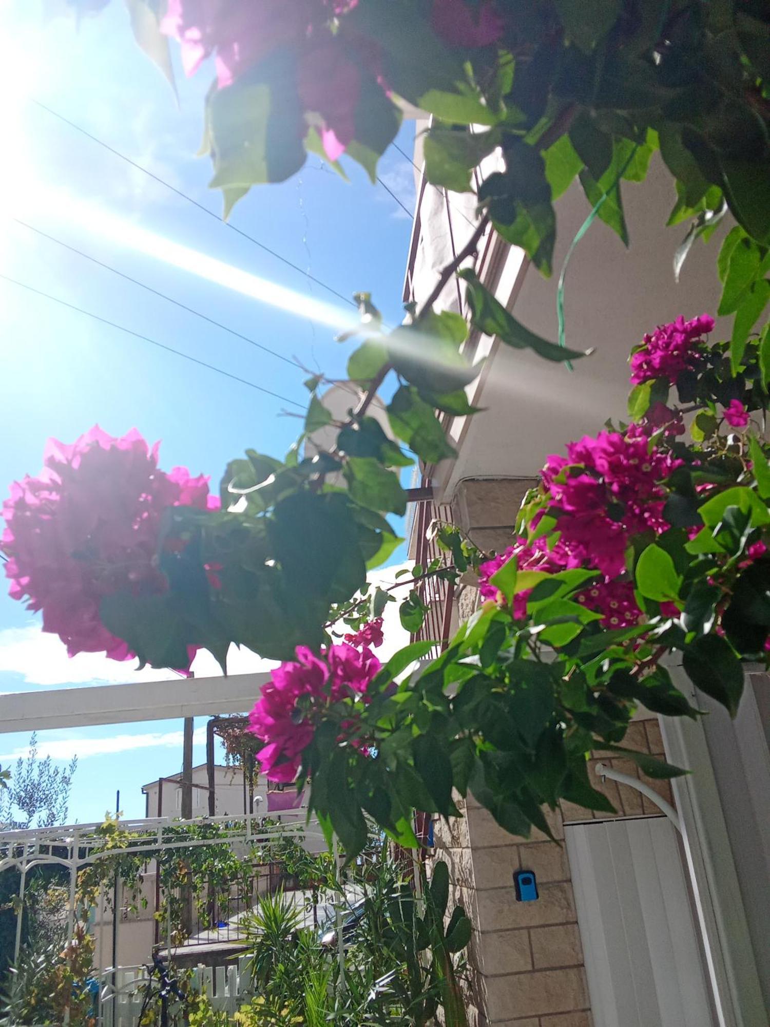 Makarska Blue Oasis Apartman 2-6 외부 사진